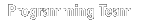 Programming Team